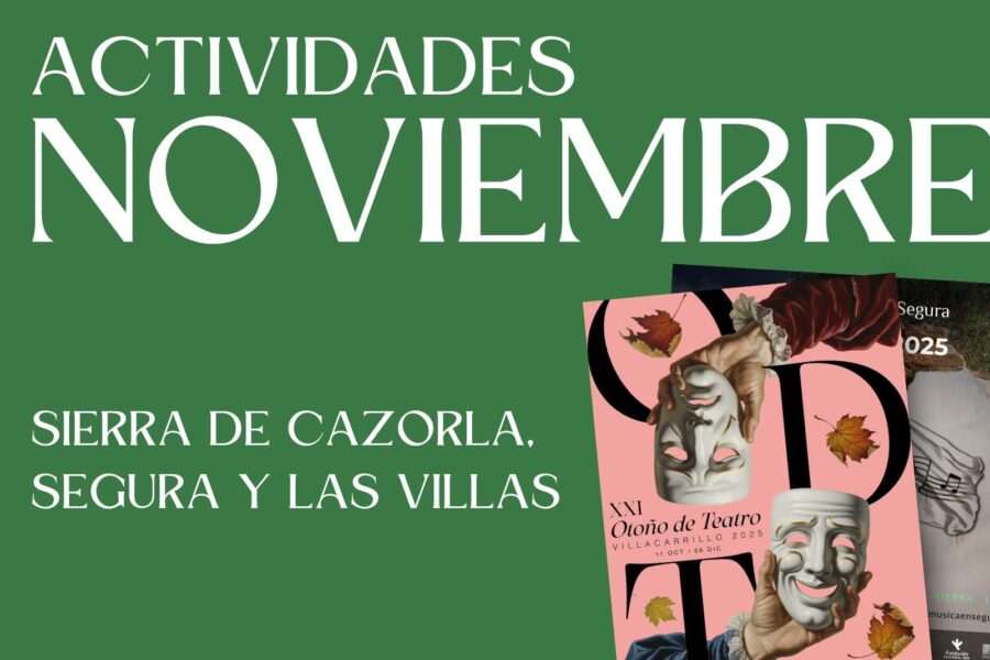 Noviembre 2025