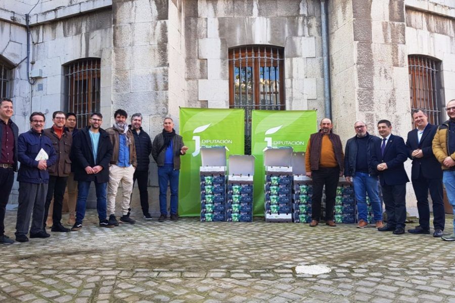 Diputación colabora con Santiago-Pontones para promocionar las singularidades de la patata de La Matea