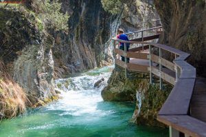 Lee más sobre el artículo Explorando la Maravillosa Fauna y Flora de las Sierras de Cazorla, Segura y Las Villas