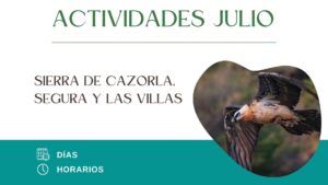 Lee más sobre el artículo Explorando la Naturaleza: Actividades de Verano