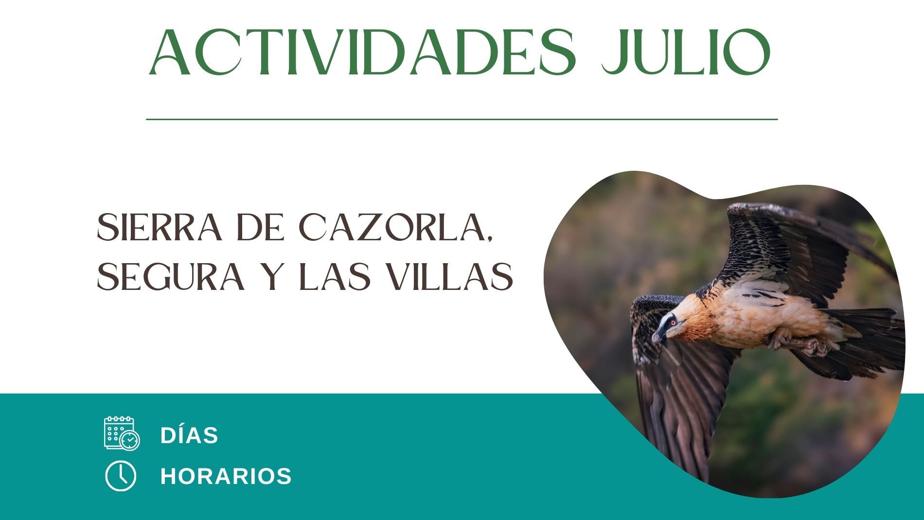 En este momento estás viendo Explorando la Naturaleza: Actividades de Verano