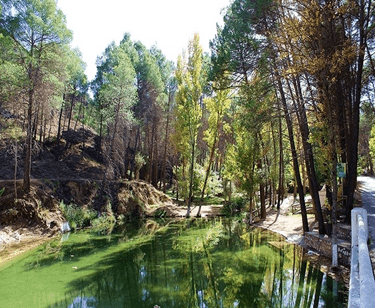 area recreativa peña del olivar