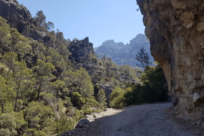 En este momento estás viendo Qué visitar estas navidades cerca del Parque Natural de las Sierras de Cazorla, Segura y Las Villas